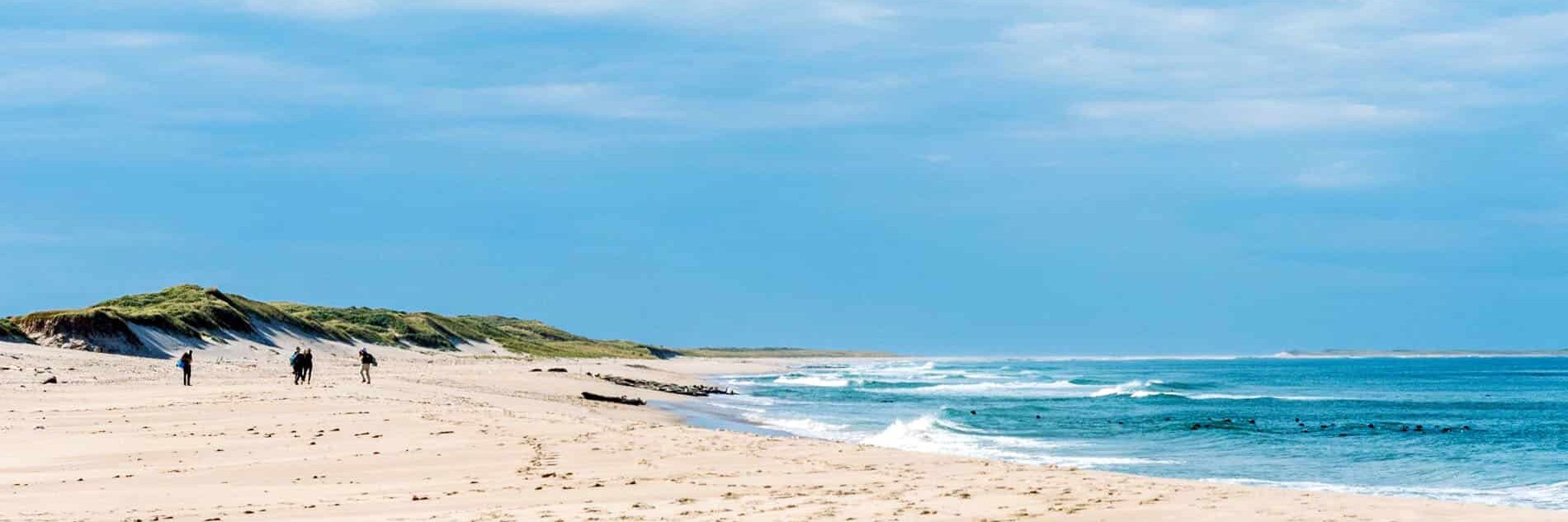 Guests on the Sable Island beach