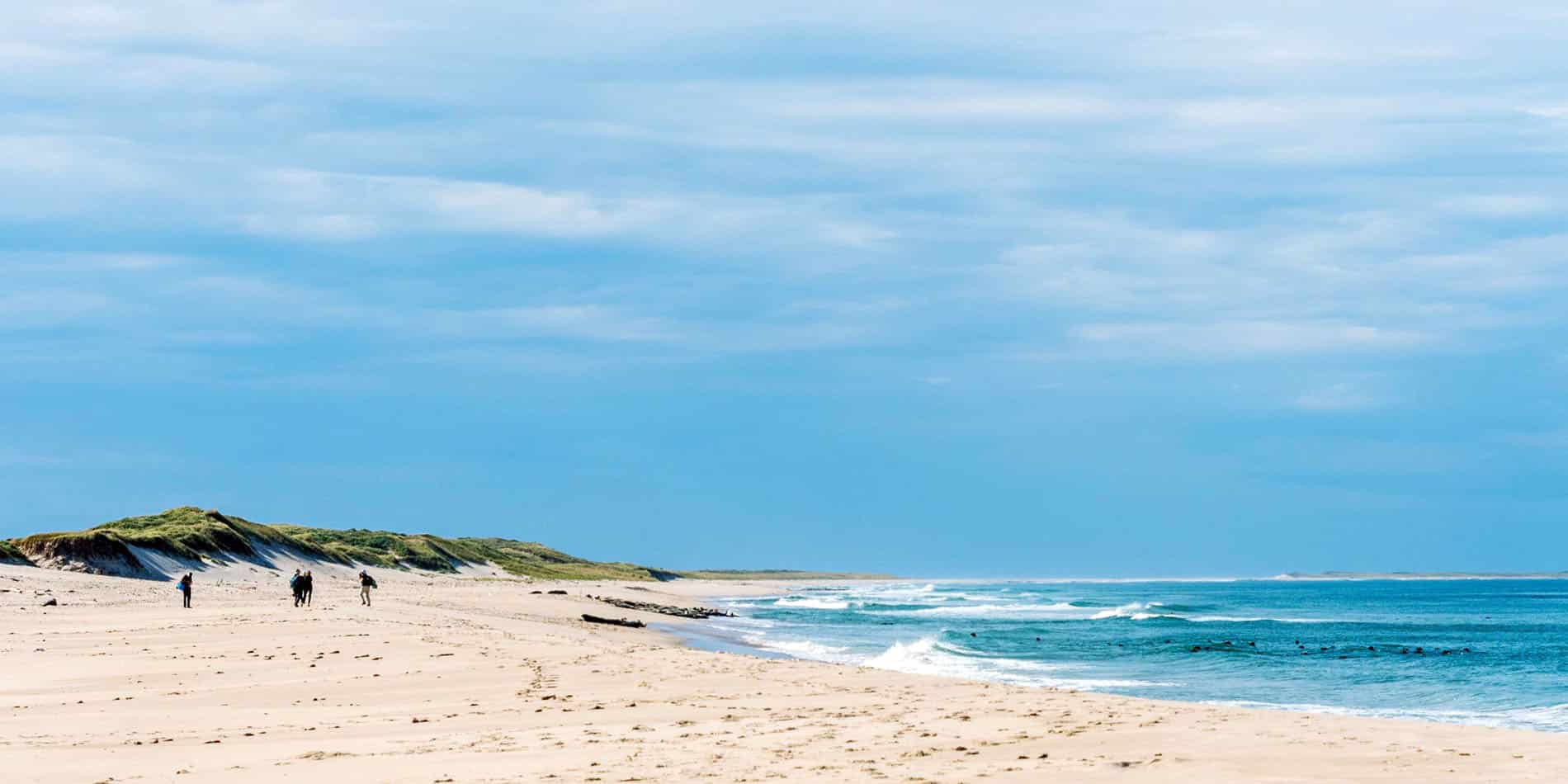 Guests on the Sable Island beach