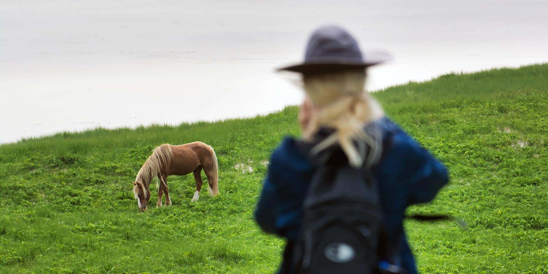 Sable Island Photo Tips - Picture Perfect Tours